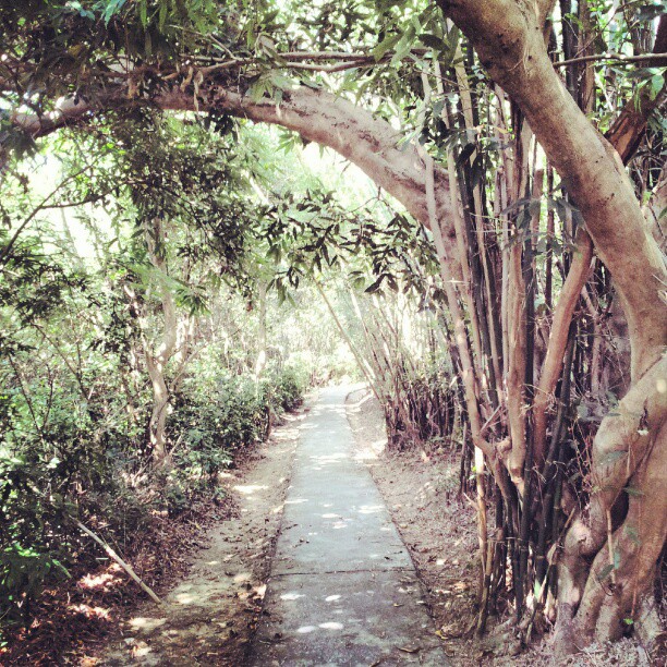 A Peng Chau path. #hongkong