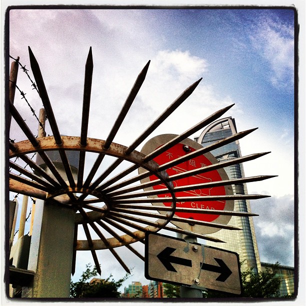 Crown of thorns. #hongkong