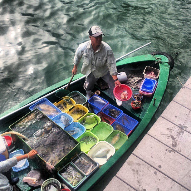 Seafood doesn't get much fresher than this! #hongkong