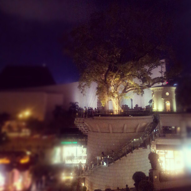 Tree on a tower. #hongkong