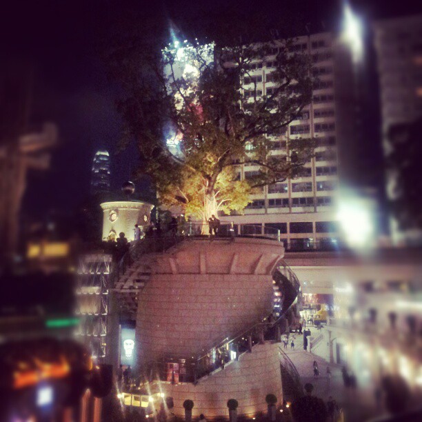 Tree on a tower. #hongkong