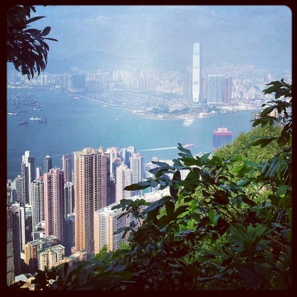 View from Lugard Road. #hongkong