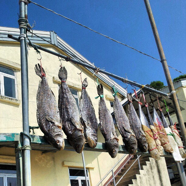 Salting fish. #hongkong