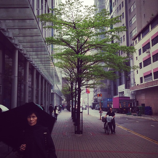 #green on #grey - a #rainy #hongkong #morning. #hkig