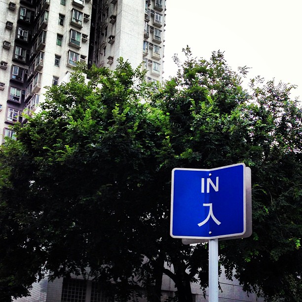 Are you #in? #hk #hongkong #hkig #street #signs