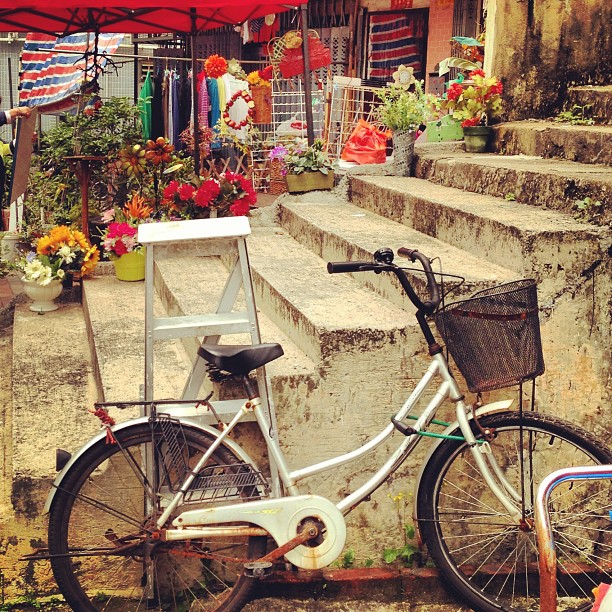 Picturesque scene in #saikung. A #bicycle, #ladder, #flowers and some #steps. #hongkong #hk #hkig