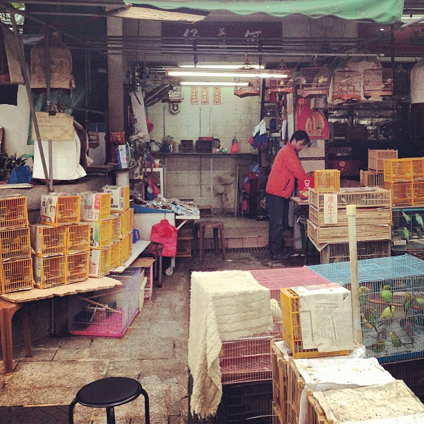 The #marketplace at the #mongkok #bird #garden. #hongkong #hk #hkig