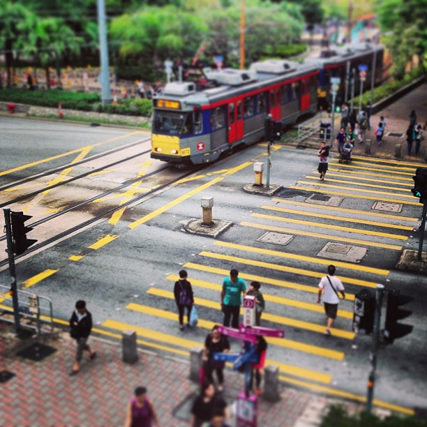 #pedestrians and ( #mtr / #tram / #lrt) #crossing. #hongkong #hk #hkig