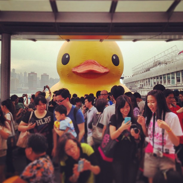 Bow! Bow before your master! None can escape the #rubberduck! Relinquish control to your #yellow #rubber #duck #overlord. #hongkong #hk #hkig