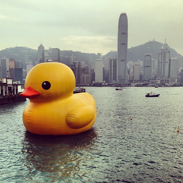 Just another of the gazillion #yellow #giant #rubberduck pics that you'll see on #hkig for a while. #hongkong has gone #rubber #duck crazy. #hk #hkig