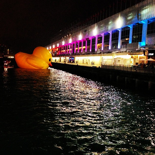 The #rubber #ducky could use some inflating. #hongkong #hk #hkig