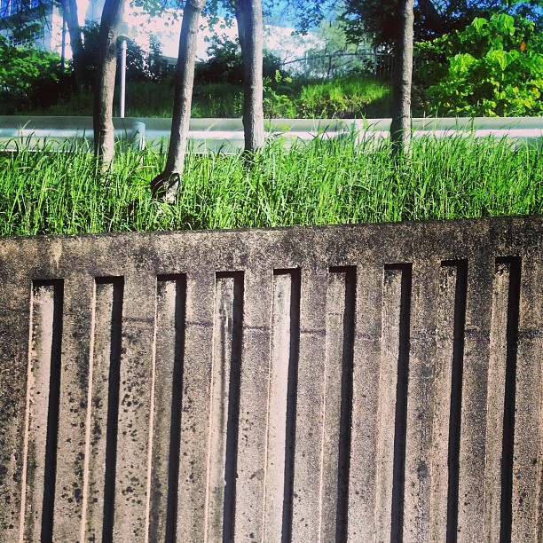 #abstract #contrast - #concrete, #grass, #trees and #sky. #hongkong #hk #hkig