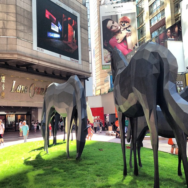 #faceted #horses grazing in #timessquare. #hongkong #hk #hkig