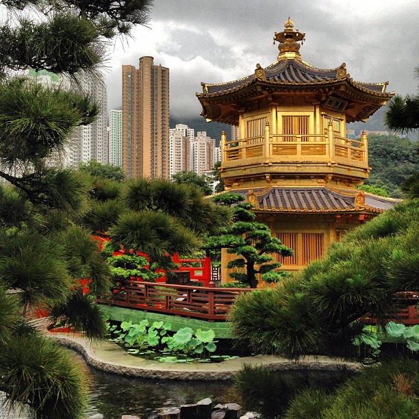 #nanlian #garden on a #rainy day. #pagoda #hongkong #hk #hkig