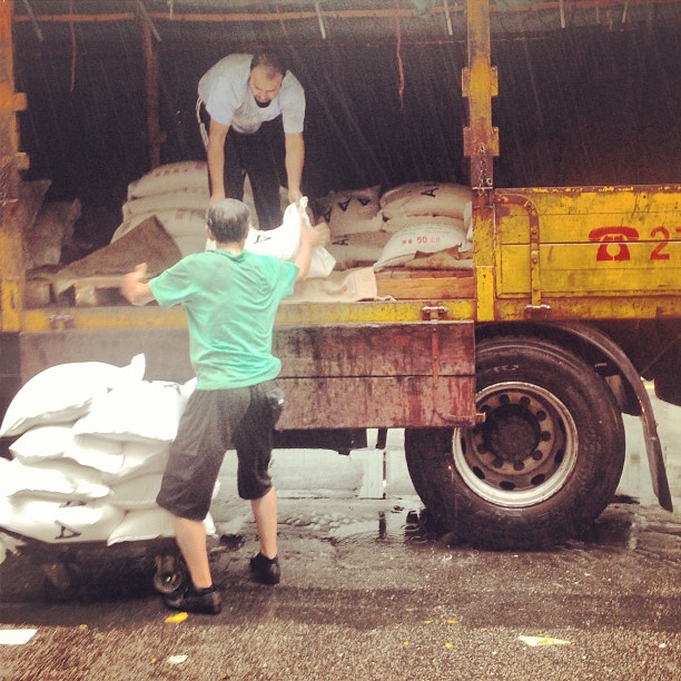 #workers unload #gunny #sacks in the #rain. #kwuntong #hongkong #hk #hkig