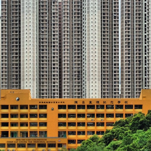 The incredible #density of #hongkong #apartments - a #school adds a dash of color and some greenery too. #hk #hkig