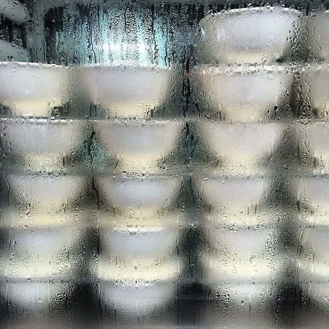 #bowls of #milk #pudding being chilled at the #AustraliaDiaryCompany in #Kowloon. #hongkong #hk #hkig