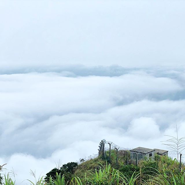 #hiking up #TaiMoShan on #CheungYeung. The #clouds are so low today that you’re walking above them. #seaofclouds #hk #hkig #hongkong