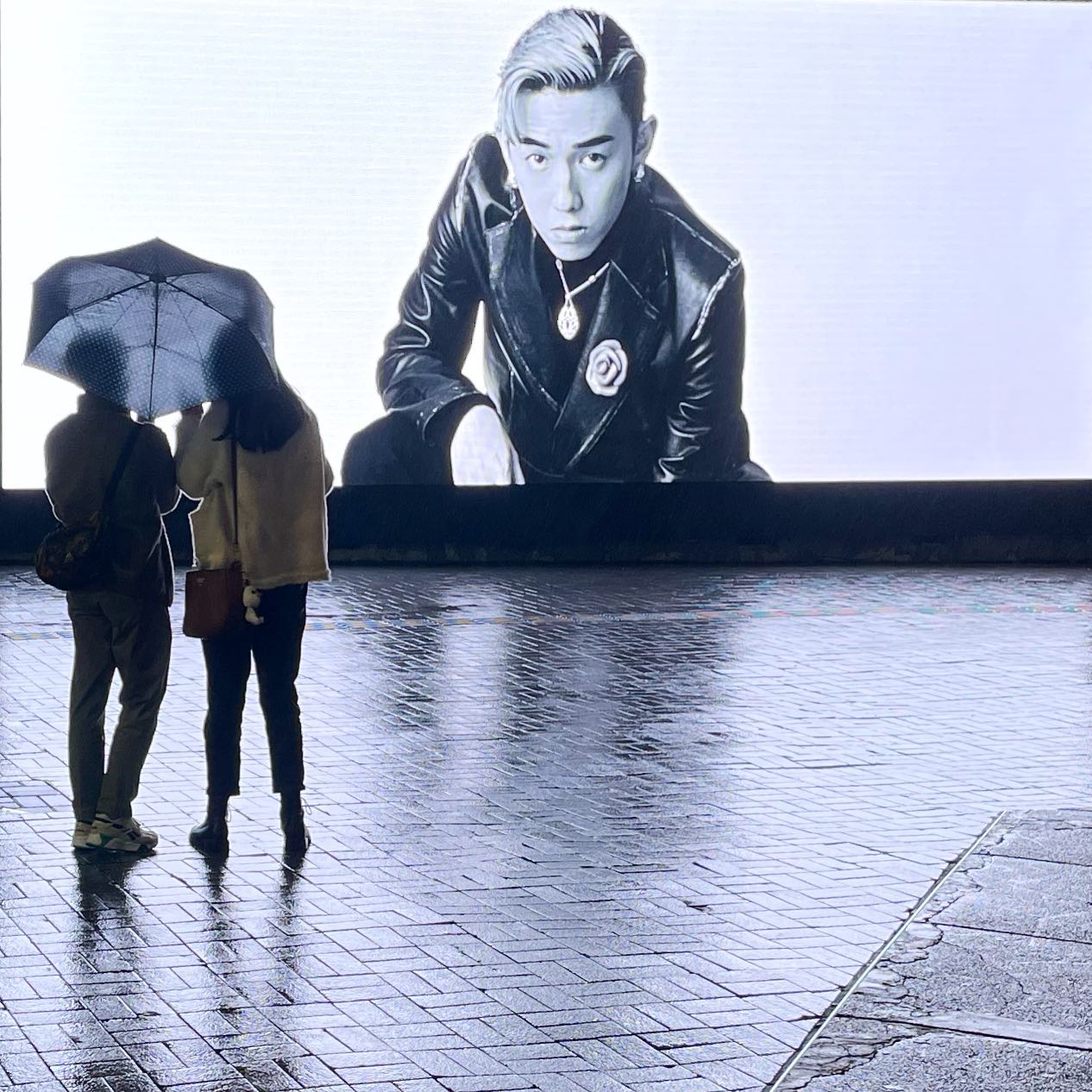 A couple watching a billboard in the winter rain under an umbrella. In TsimShaTsui, HongKong. hk hkig