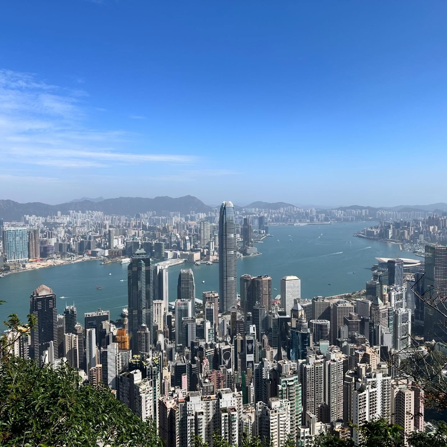 A view of Kowloon and HongKong island from ThePeak’s MorningTrail on a clear Sunday morning. hk hkig nofilter