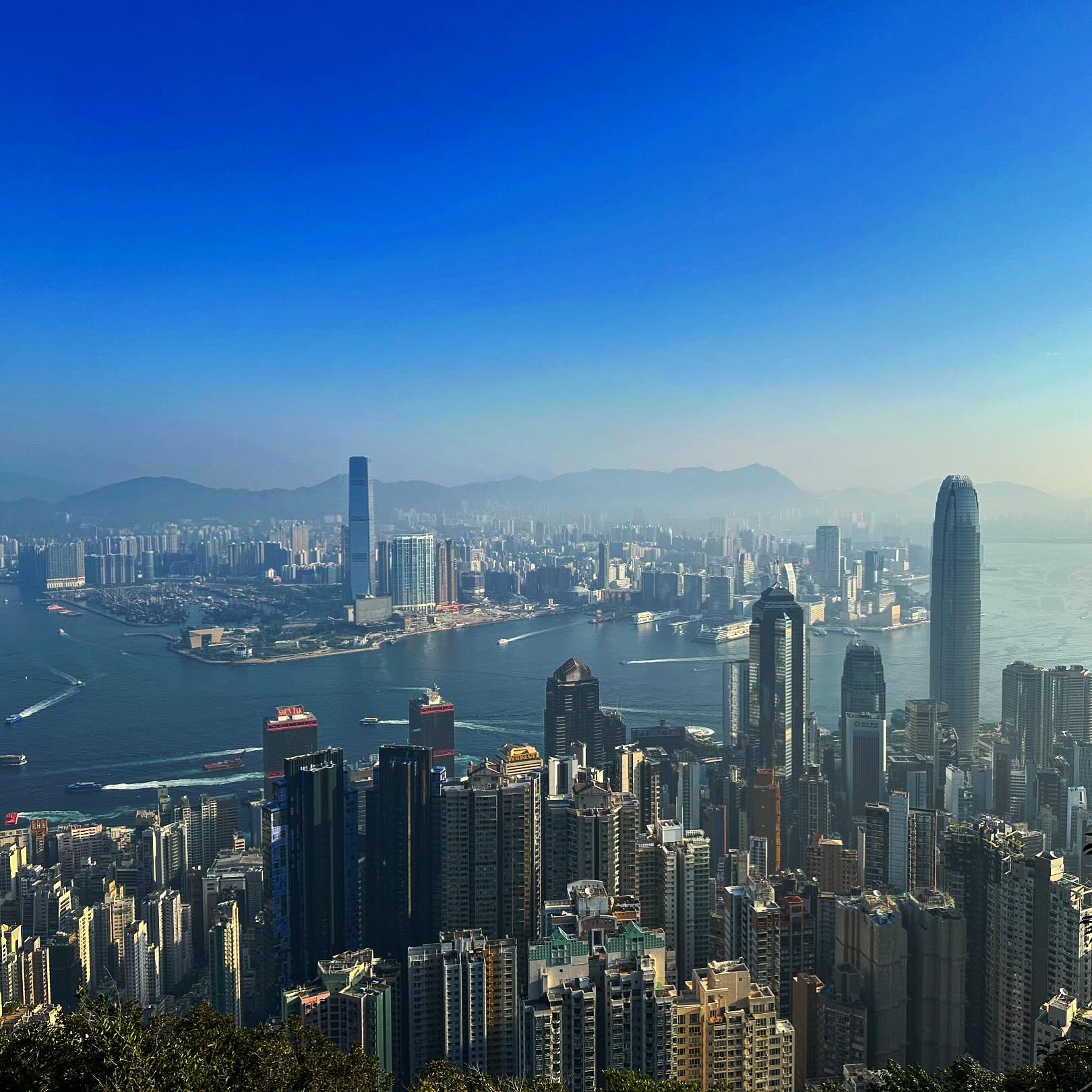 A view of HongKong island, VictoriaHarbour and Kowloon along the MorningTrail at ThePeak. VictoriaPeak hk hkig