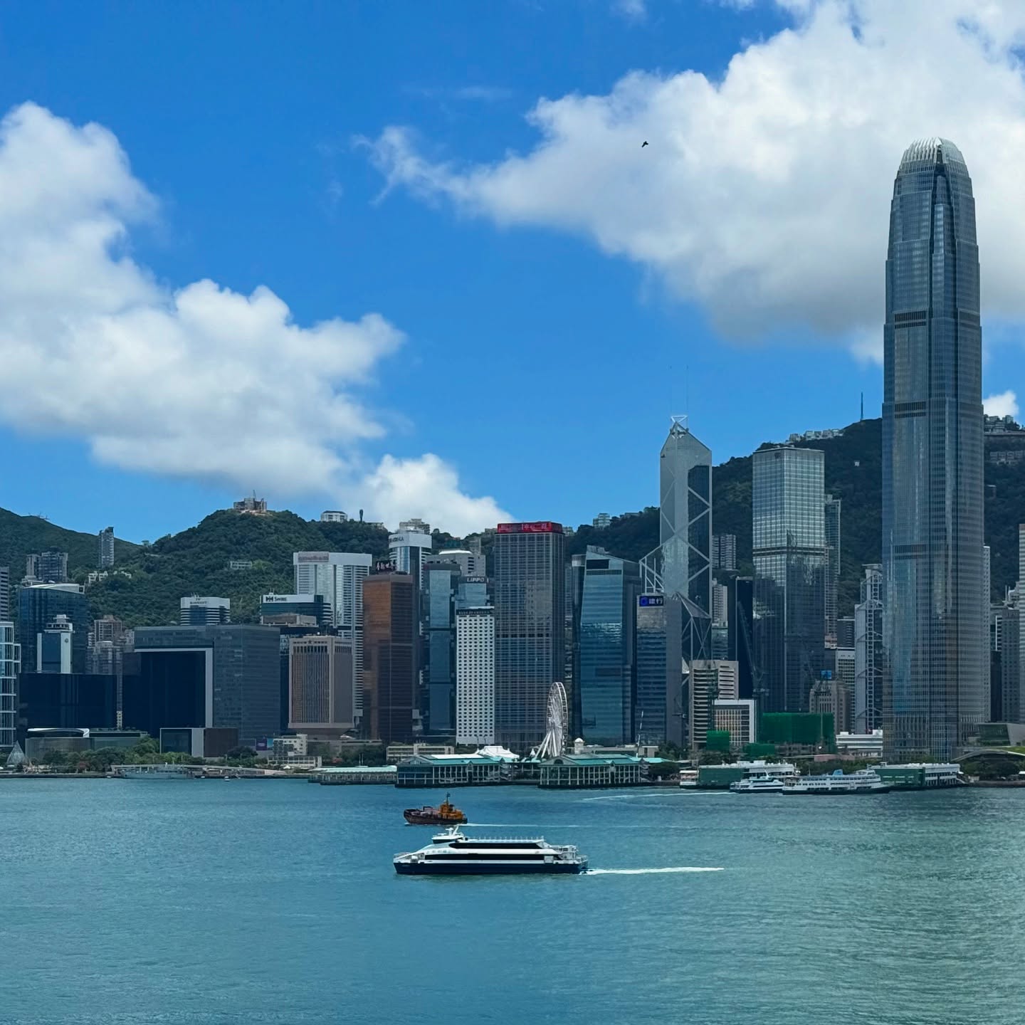 Hello Hong Kong. hongkong hk hkig