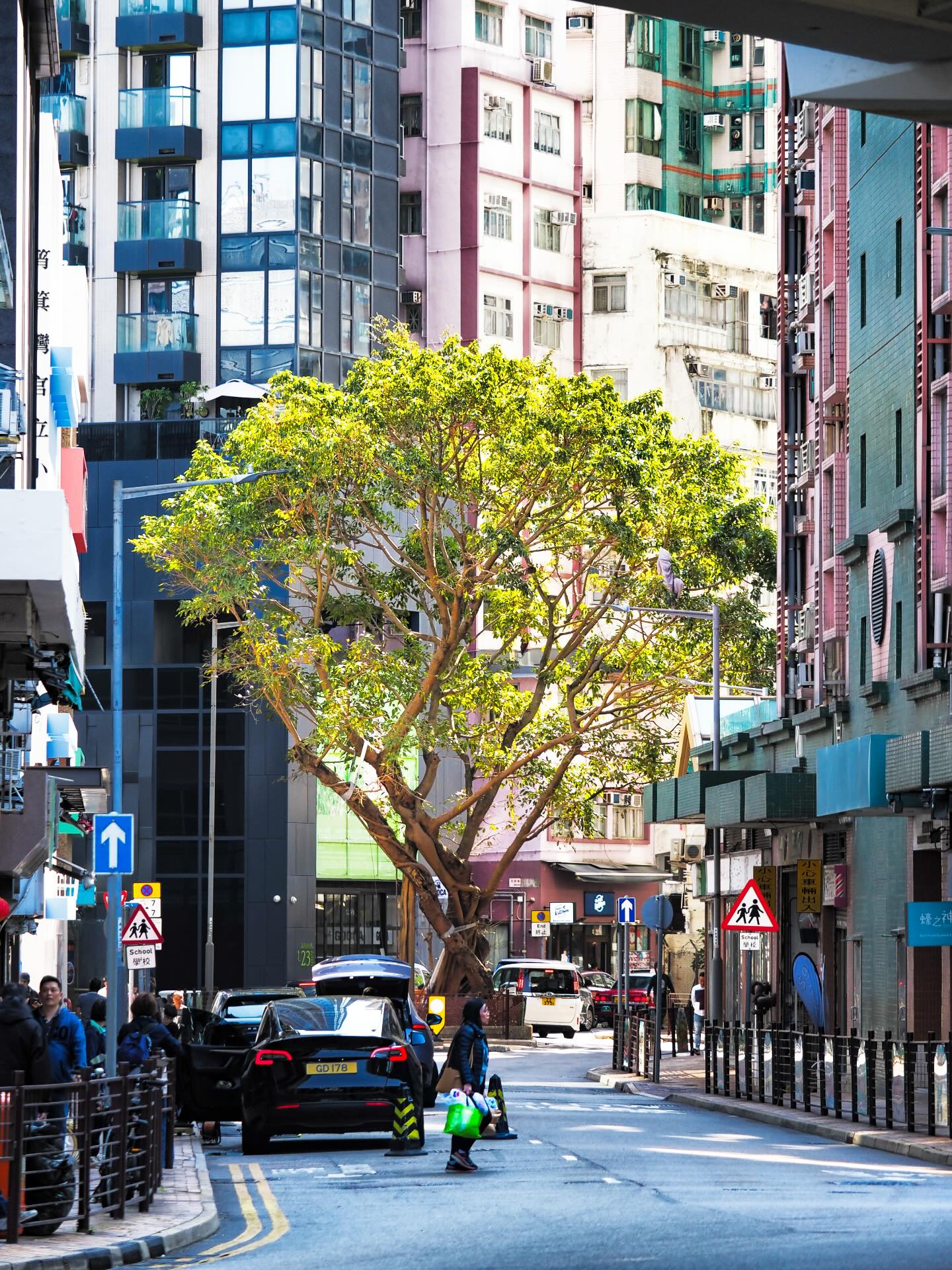 Shau Kei Wan. A tree stands in a fork in the road. They didn’t cut the tree down, they just went around it. hongkong hkig tree shaukeiwan
