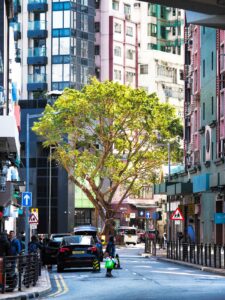 Hong Kong photo